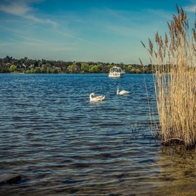 Werbelinsee Brandenburg